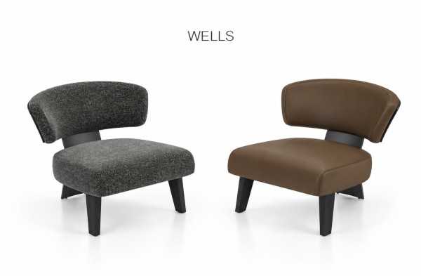 Ghế thư giãn WELLS 2